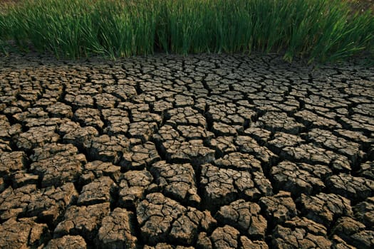 Land dry cracked ground from global warming