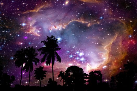 nebula and galaxy on space back on silhouette coconut tree and night sky, Elements of this image furnished by NASA