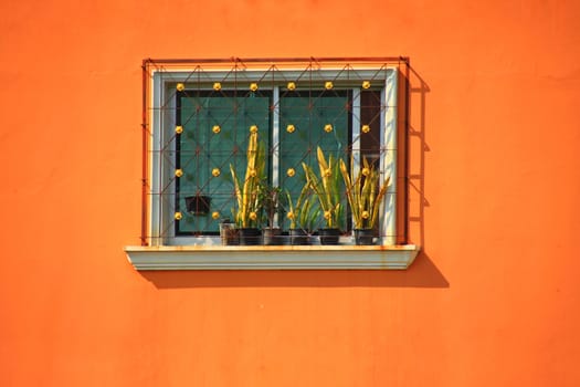 Minimalist photo of a window on an orange colored wall