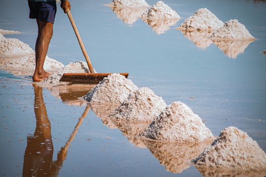 Beautiful countryside scenery of the famous Kampot Salt fields during the harvest season that shows the real life, livelihood and local culture of the Cambodian people
