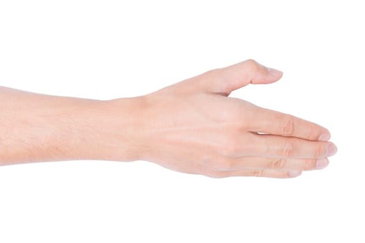 The human hand in the white background