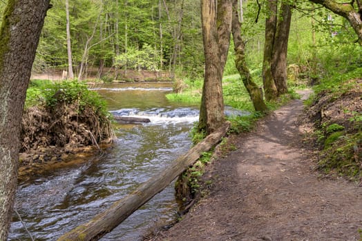 View of cascades on Tanew river in nature reserve Nad Tanwia in eastern Poland