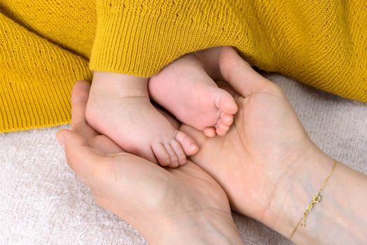 Closeup of newborn baby feet in parent hands