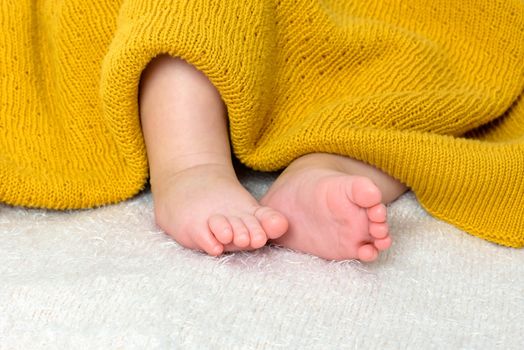 Close up of newborn baby feet on soft blanket