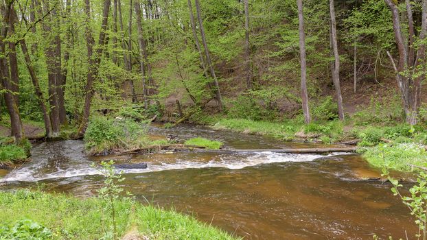 View of cascades on Tanew river in nature reserve Nad Tanwia in eastern Poland