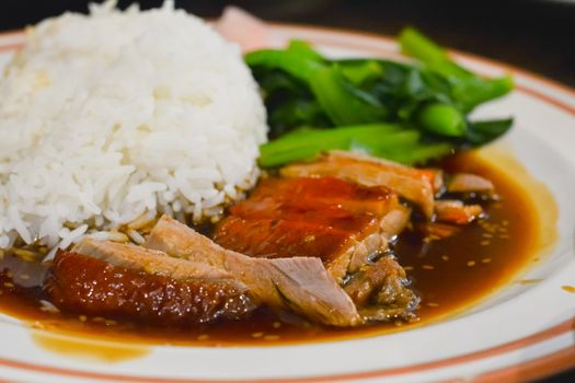 Delicious Chinese food. Rice with roast duck and boiled green vegetable on white dish.