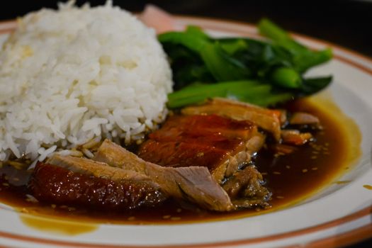 Delicious Chinese food. Rice with roast duck and boiled green vegetable on white dish.