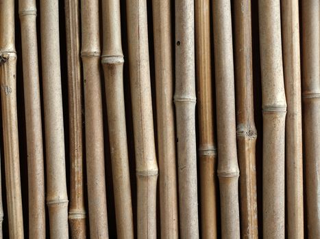 A wall made of out of straight bamboo poles