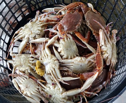 Fresh crabs are being sold at an outdoor fish market