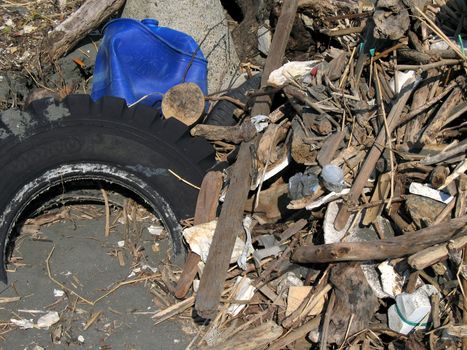 -- an old tire, trash and driftwood are washed ashore
