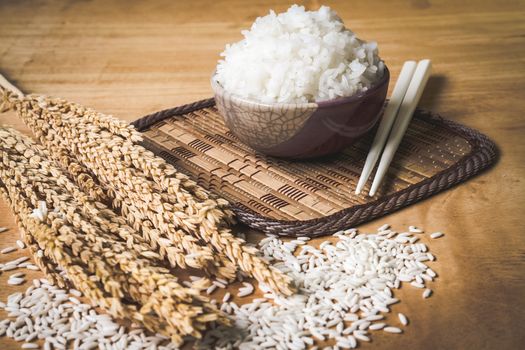 Cooked rice in bowl with raw rice grain and dry rice plant on  wooden table background.