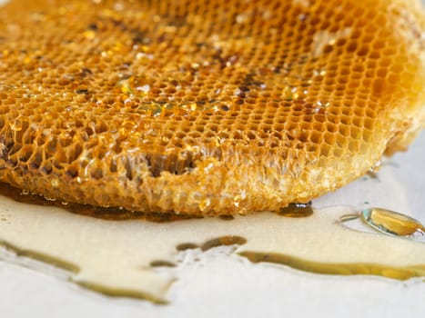 honeycomb with honey.Shallow depth of field.