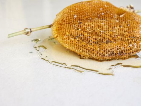 honeycomb with honey.