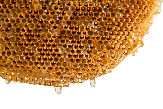 honeycomb with honey.Selective focus