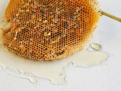 honeycomb with honey.