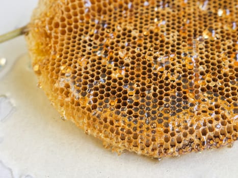 honeycomb with honey.Shallow depth of field.