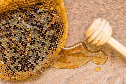 honeycomb with honey.