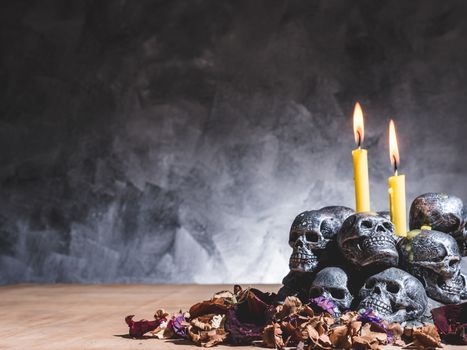 Skulls with candle burning and dried flowers on dark background.