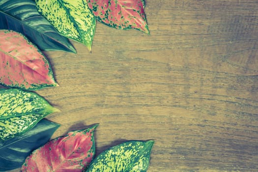 Autumn leaves on wooden background.Vintage style