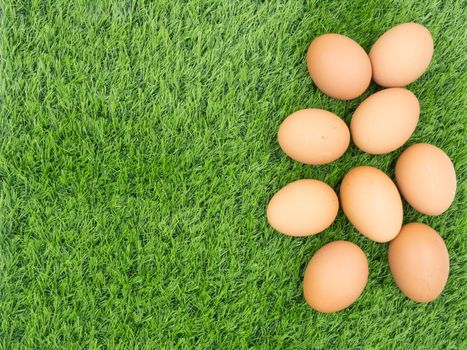 fresh eggs on grass background.