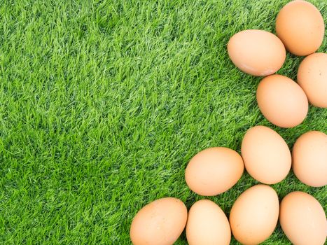 fresh eggs on grass background.