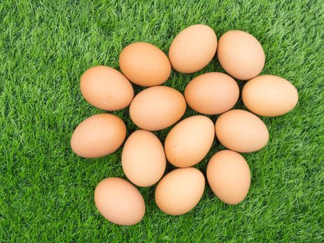 fresh eggs on grass background.