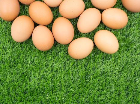 fresh eggs on grass background.