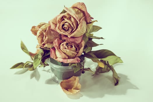 Dry rose flower.vintage tone