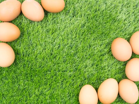 fresh eggs on grass background.
