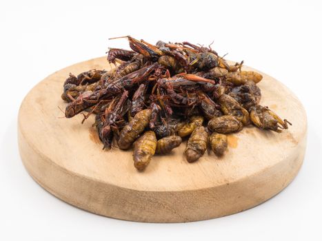 Fried insects. Protein rich food.