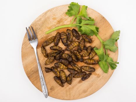 Fried insects. Protein rich food.