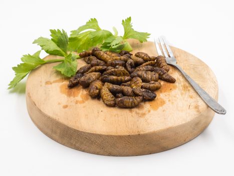 Fried insects. Protein rich food.