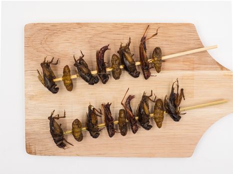 Fried insects. Protein rich food.