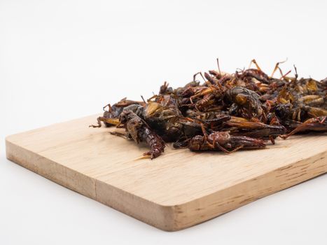 Fried insects. Protein rich food.