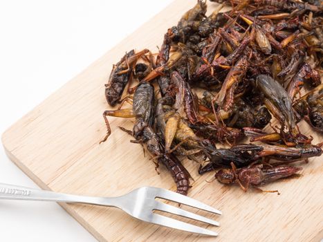 Fried insects. Protein rich food.