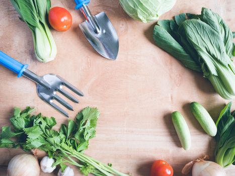 Top view of Fresh vegetables with garden tools  on wooden table background.
