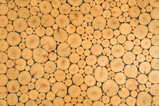 Wooden logs background
