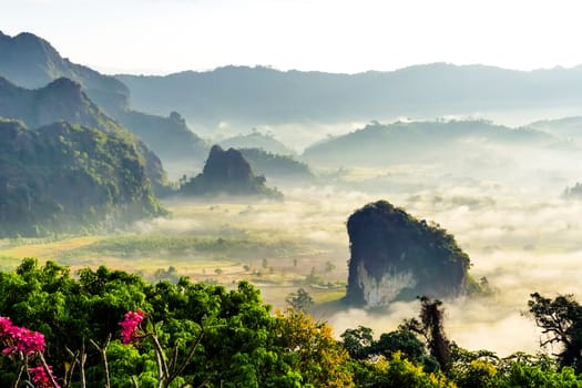 Landscape of sunshine on the morning mist at Phu Lang Ka, Phayao, Thailand