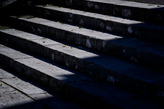 Old stone stairway and leaves in black and white