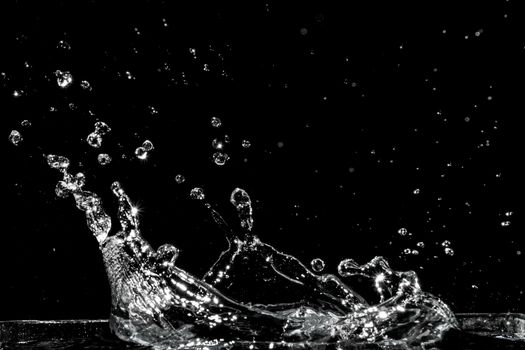 Water splash isolated on black background