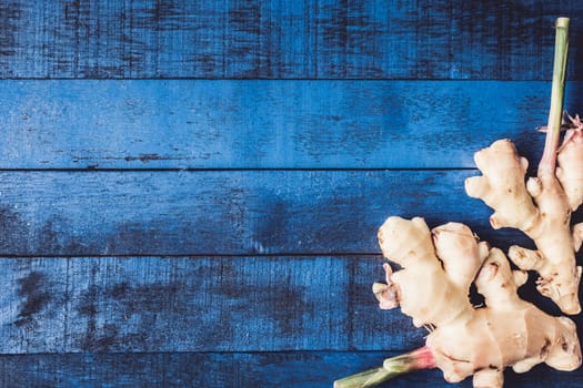 Top view of Fresh gingers on blue wooden table background, Free space for text