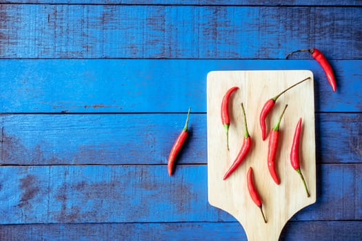 Top view of Red hot chilli peppers on tray over blue wooden table background, Free space for text