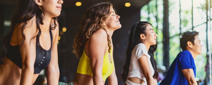 Banner, web page or cover template of Group of diversity practicing yoga class, healthy or Meditation Exercise,stretching in upward facing dog exercise, sports and healthcare concept