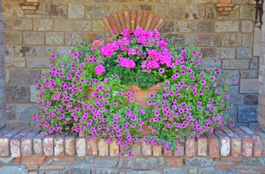 Beautiful pink petunia flower planter on brick patio