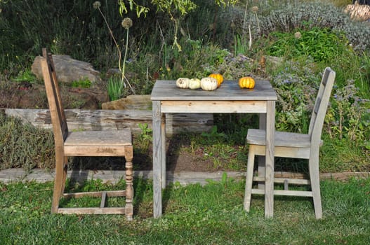 Little pumpkins on old wooden table with two chairs