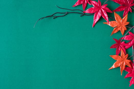 Maple leaves on green background. Free space for text
