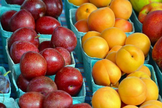 Fresh plums and nectarines at farmer's market