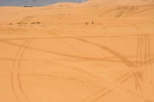 Yellow sand dunes in Mui Ne is a popular tourist destination of Vietnam