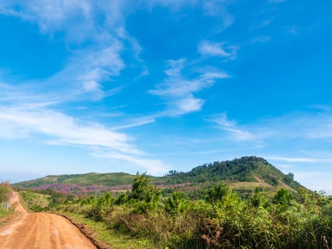 Beautiful landscape with country road, mountains and blue sky. Travel concept