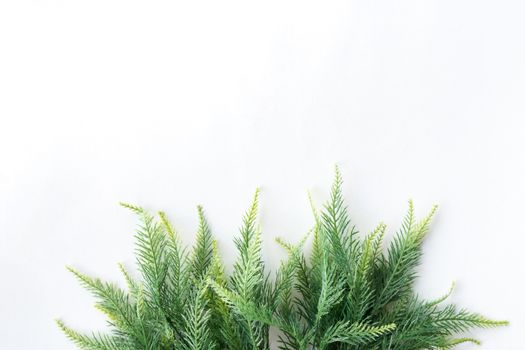 Christmas tree on a white background, free space for text